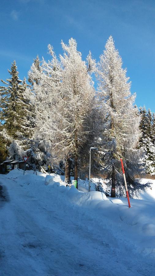 菲林豪斯雪绒花公寓 特雷芬 外观 照片