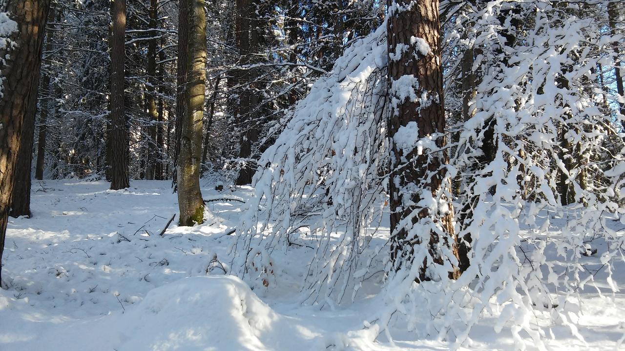 菲林豪斯雪绒花公寓 特雷芬 外观 照片